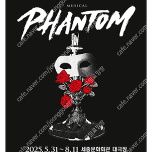 뮤지컬 팬텀 [ 박효신 ] 회차 / 좌석 등급별 단석, 2연석, 4연석 / 최저가 / 5년 / 멜론티켓 싸인포카 좌석