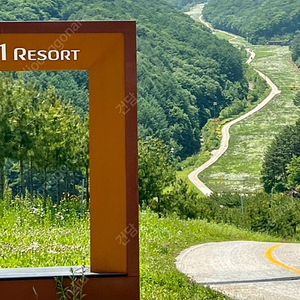 5월 6월하이원리조트콘도 그랜드호텔 메인타워 컨벤션타워 마운틴디럭스 힐콘도 있습니다