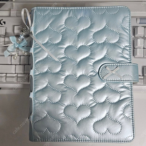 (택포) 현금생활 챌린지 현생 a5바인더와 지퍼백 12장