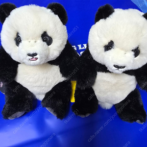 바오패밀리 신상인형 세트 루이후이 인형 루이바오 후이바오