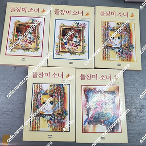 만화) 들장미소녀 1~5완 AMA 초판 희귀도서 / 캔디캔디 전8권 소장용 택포