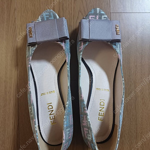 팬디 245. 새구두