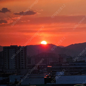 메랜 월드코인80%삽니다 6400개