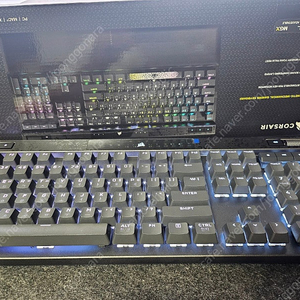 커세어 K70 MAX 타이핑고래 풀윤활 제품 판매합니다.