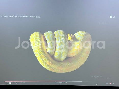 소니 PHZ60 레이저 중고빔프로젝터 6000안시 풀H...--9