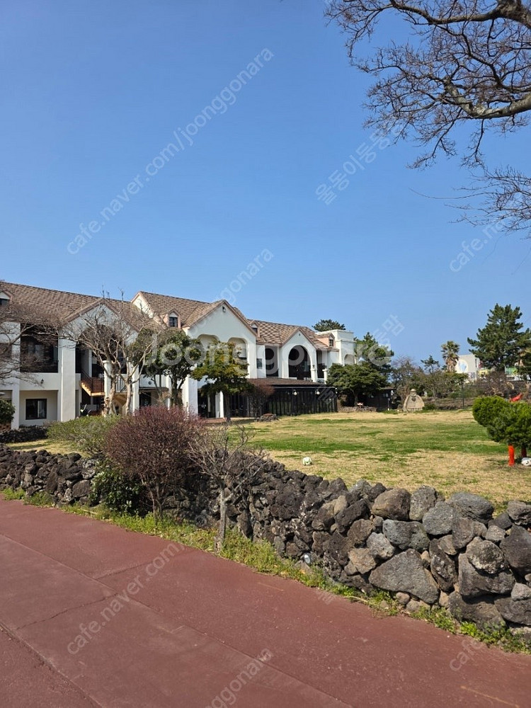 제주도 올레리조트 일,월 (18일~19일 ) 디럭스트윈...--0