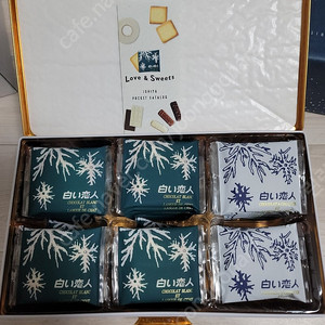 시로이코이비토