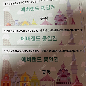 에버랜드 전 시즌 이용권