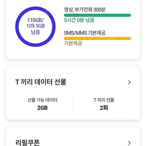 sk데이터 2기가