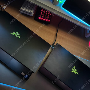 Razer Blade 17 Pro 블레이드17프로