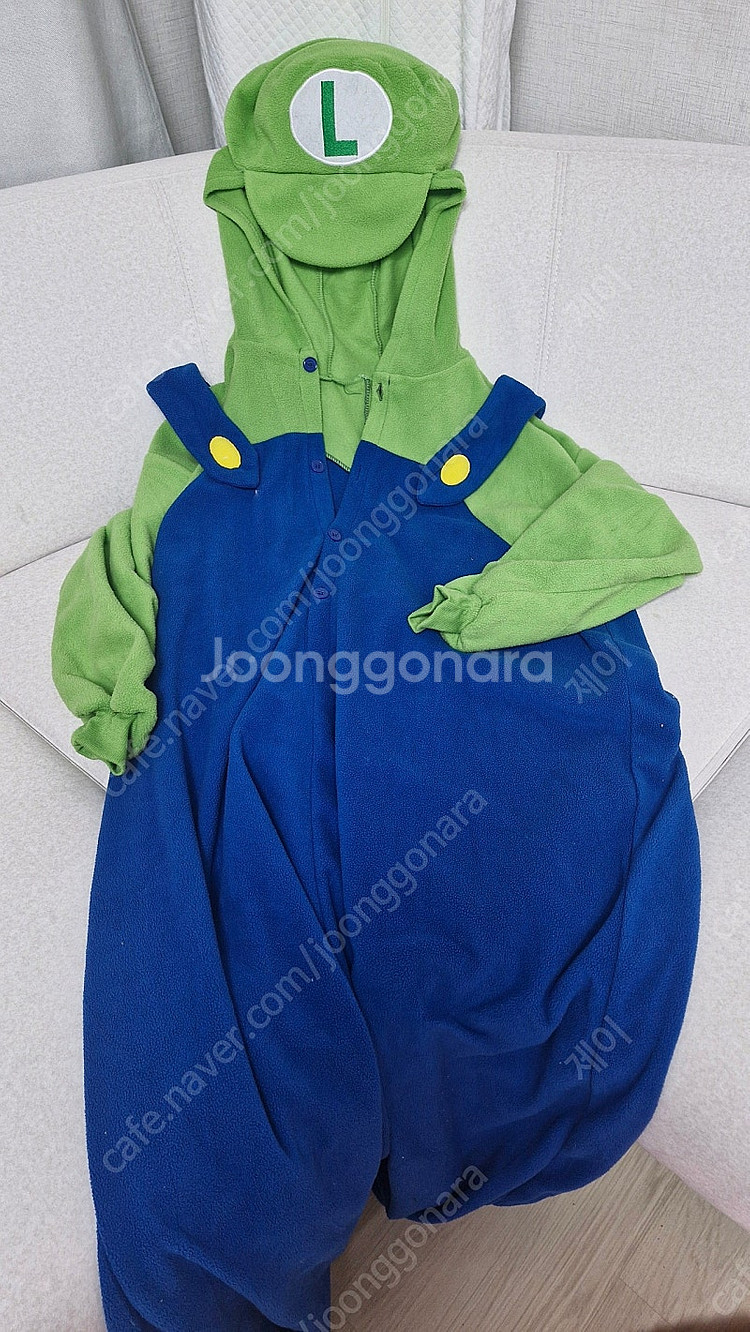 슈퍼 마리오, 루이지 옷--3