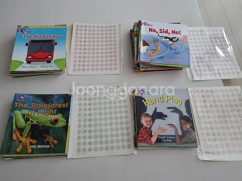 빅캣 파닉스 핑크 레드 옐로우 블루--0