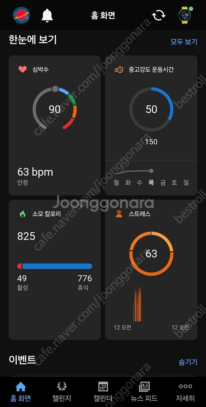 가민 포러너 965--0