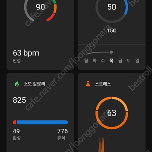 가민 포러너 965