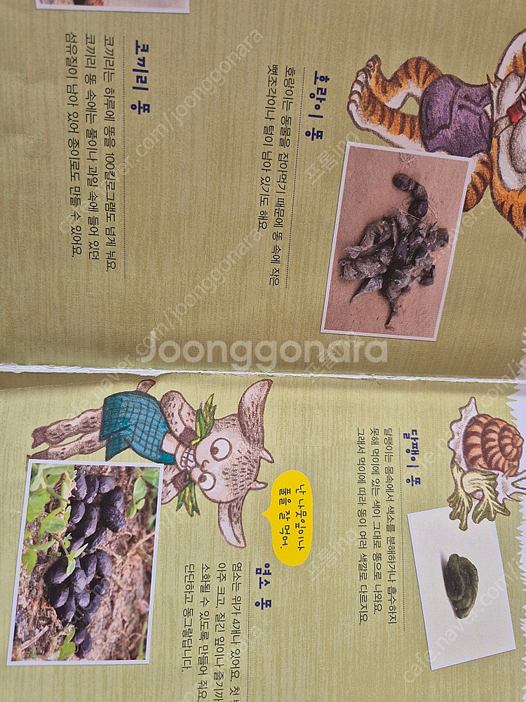 내친구과학공룡 48권 (택포)--7