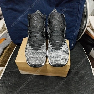 나이키 르브론17 인더 아레나
