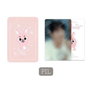*미개봉*데이식스 콘서트md 쁘띠멀즈 맥세이프카드지갑