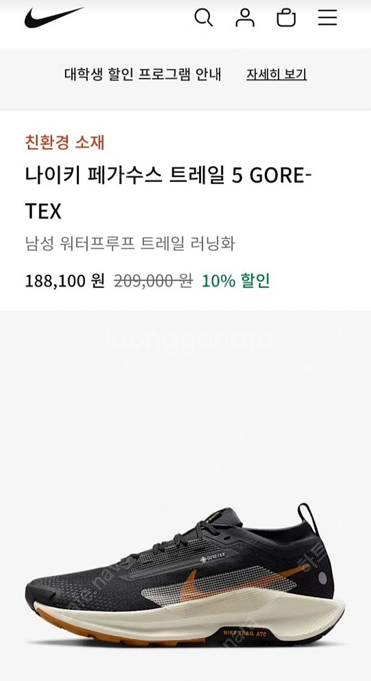 나이키 페가수스 고어텍스 방수 운동화--0