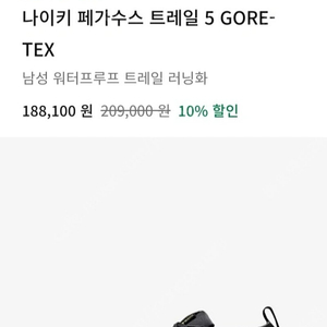 나이키 페가수스 고어텍스 방수 운동화