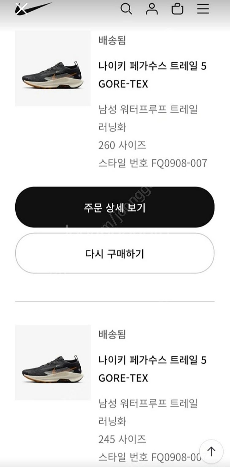 나이키 페가수스 고어텍스 방수 운동화--1