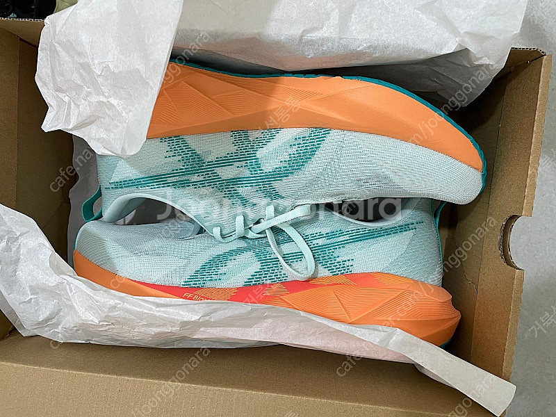 아식스 노바블라스트5 수딩씨 280--0