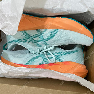 아식스 노바블라스트5 수딩씨 280