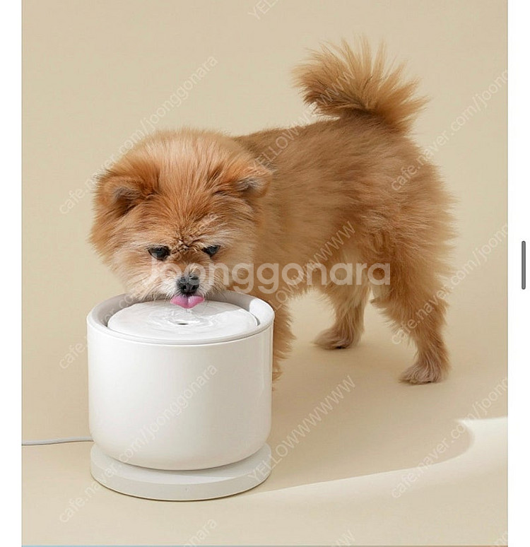 강아지 고양이 스마트 정수기--0