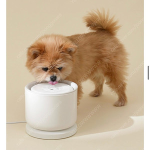 강아지 고양이 스마트 정수기