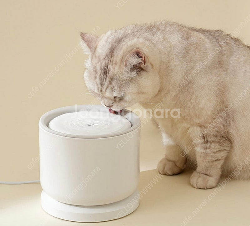 강아지 고양이 스마트 정수기--1