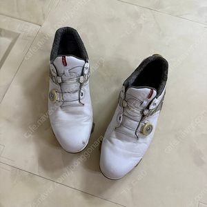 풋조이 남성 기능성 골프화 265