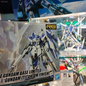 RG 하이뉴건담 티타늄피니쉬 (택포)