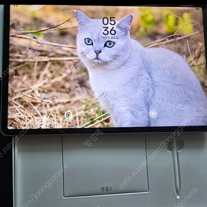 갤럭시탭S10FE 플러스 256gb wifi