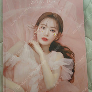 미야와키사쿠라 화보집 사진집