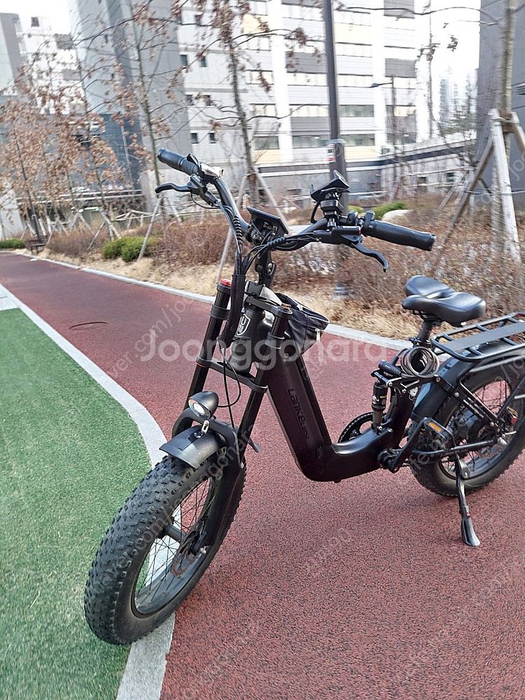 랑케레이시 판다--0