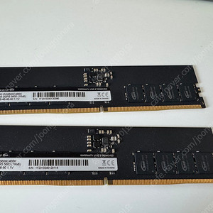 TeamGroup DDR5-5600 16G 2개 판매