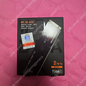 WD BLACK NVMe SSD 2TB 국내 정발