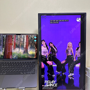 Dell p2417h 24인치 피벗용 모니터 판매