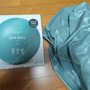 짐볼 65cm 사이즈, 민트 색상 팝니다. 발펌프 포함. 서울.송파
