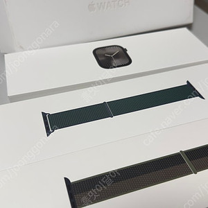 애플워치10 티타늄, 46mm, 슬레이트 색상 + 애플캐어플러스(애캐플) 팝니다.