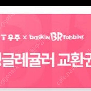 베라 싱글레귤러