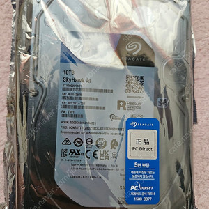 씨게이트 SkyHawk AI  10 TB