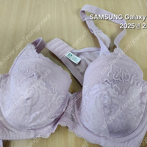 비너스 브라 85C 새상품