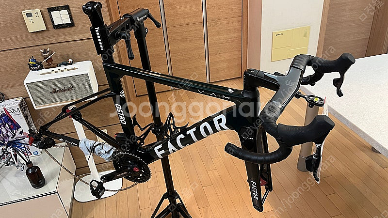 [반차 판매] 팩터 오스트로 뱀 52 레이싱그린--1