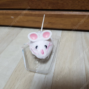 새상품급)고양이 자동 장난감
