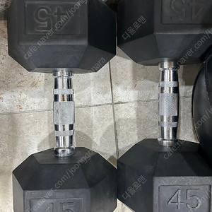 육각 덤벨 45파운드 / 20kg