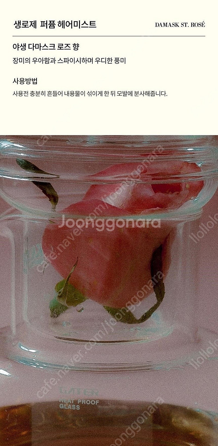 톤28 생로제 퍼퓸 헤어미스트--3