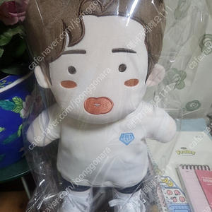 임영웅 공식 대형인형(40cm) 팝니다.