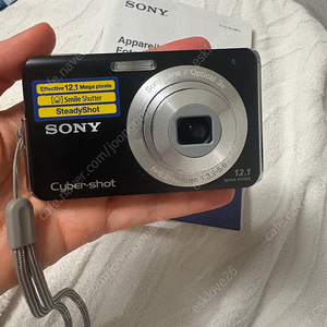 Sony cyber shot dsc-w190/소니 사이버샷 빈티지