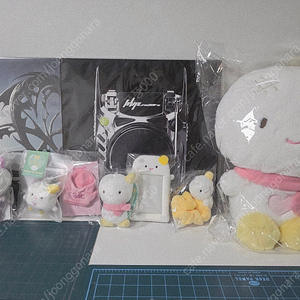에스파 LP, 윈터 MD 팝니다