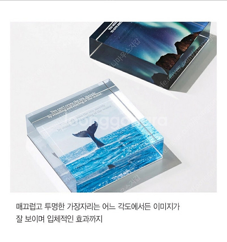 새상품) 알라딘 굿즈 사각 투명 문진 _ 고래, 오로라--3